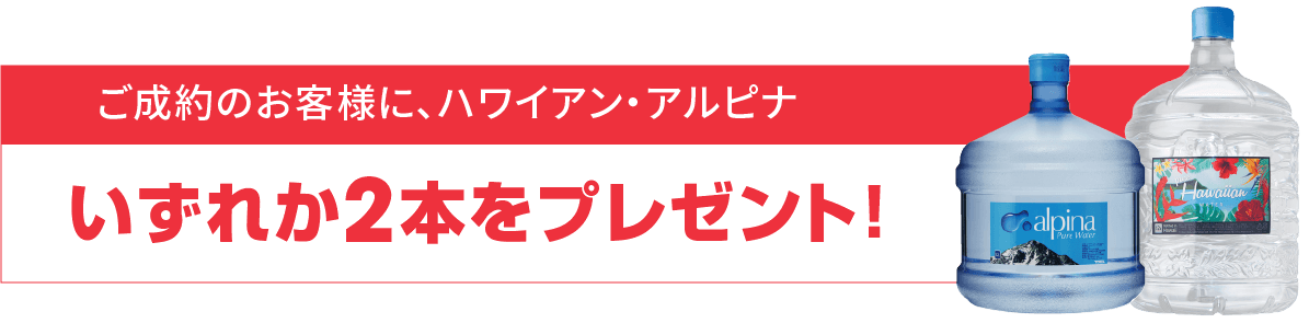 ハワイアン・アルピナプレゼント